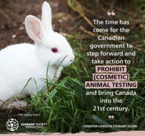 Huffington Post: Canada is one step closer to banning cosmetic animal testing